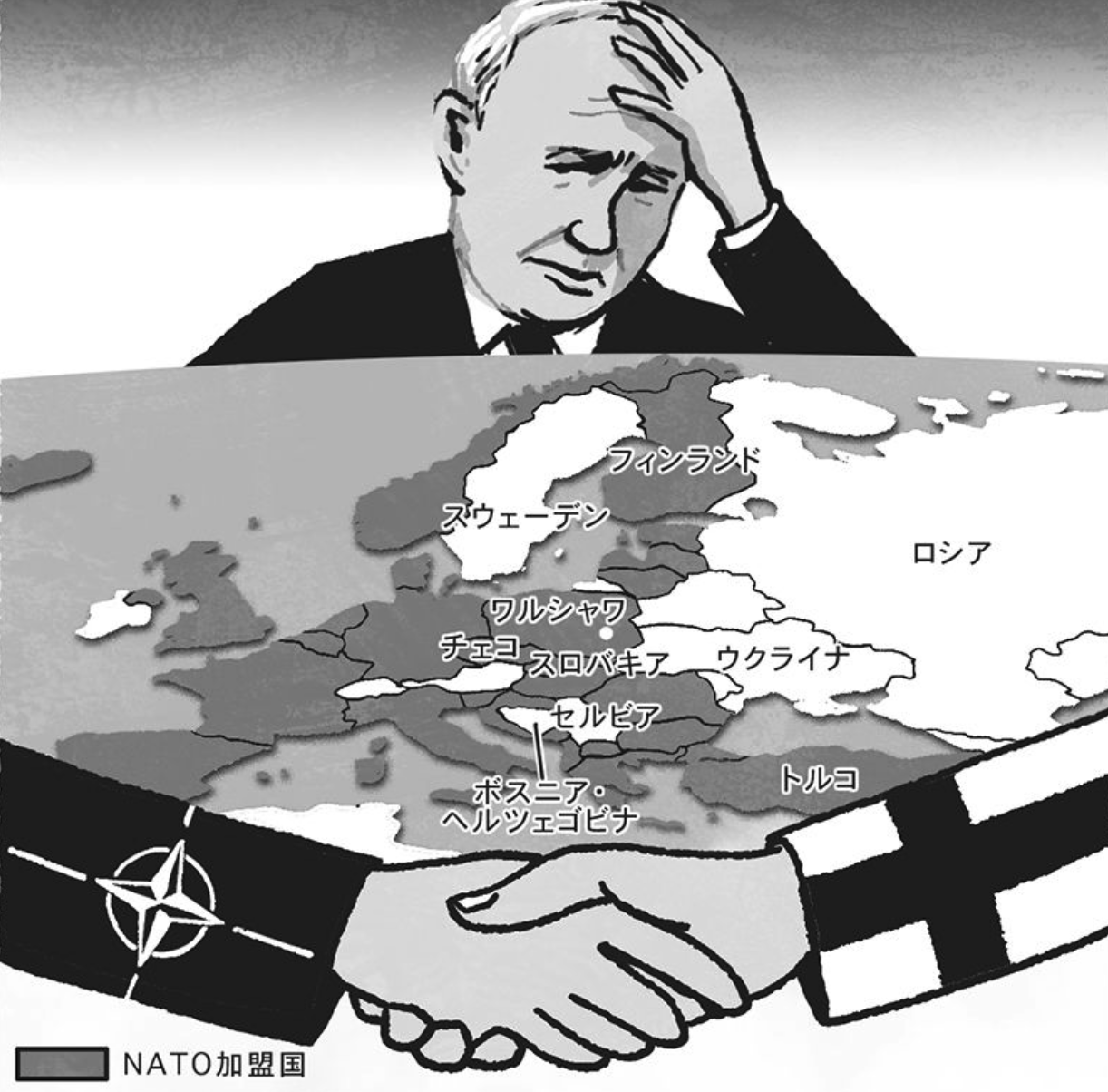 NATO加盟国.png