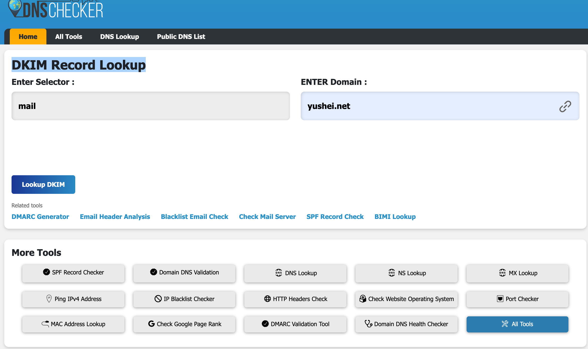 DNS_Checker_DKIM_lookup-01.png